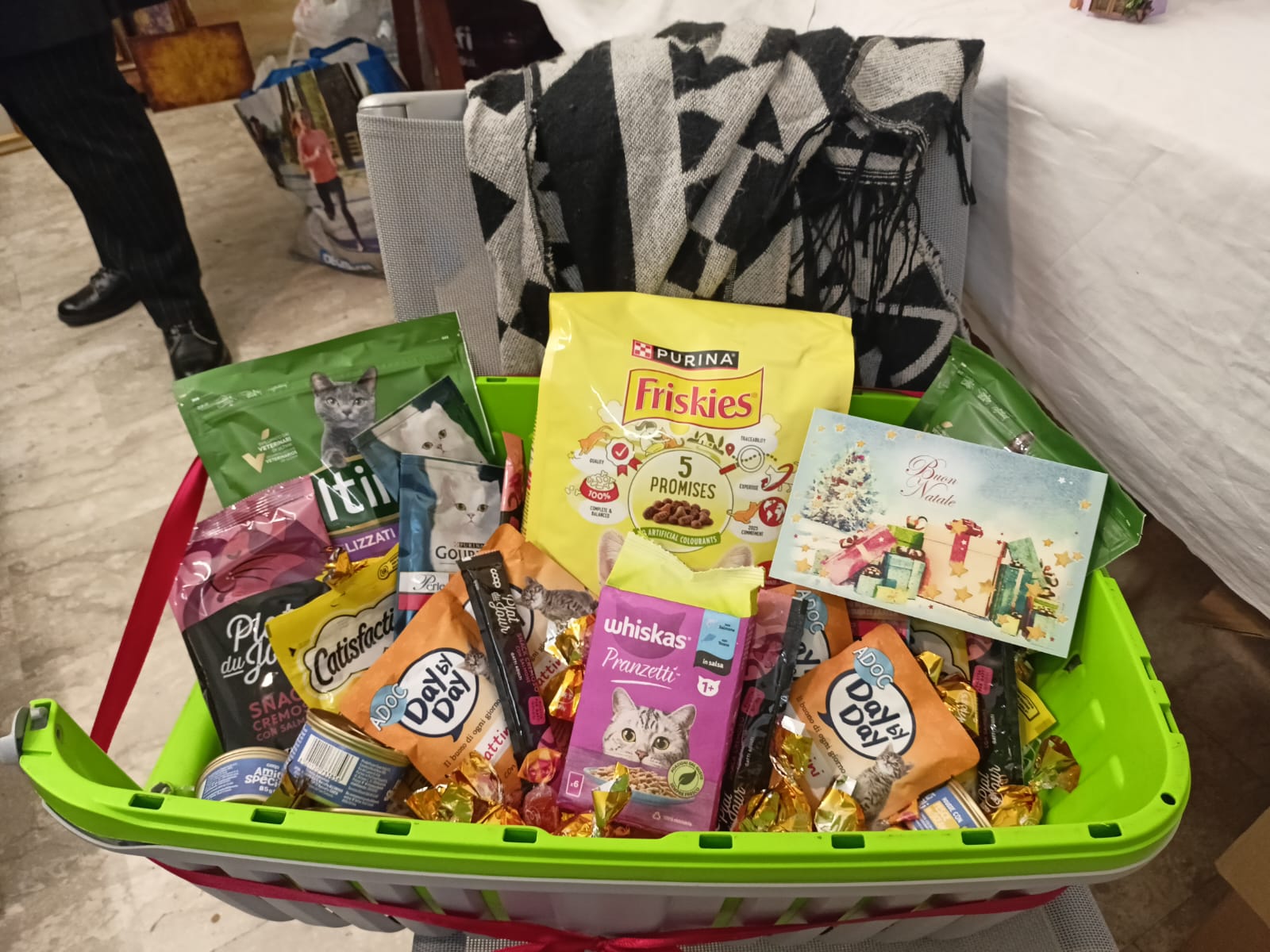 Cibo e prodotti donati per i gatti