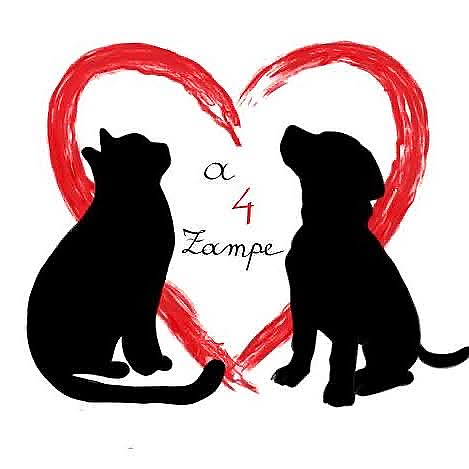 Cuore a 4 Zampe